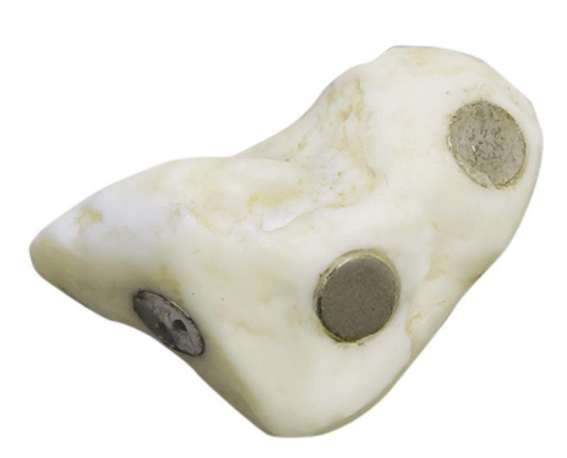 Magnetische menschliche Hand, rechts, 6005 - Notemed Medizintechnik