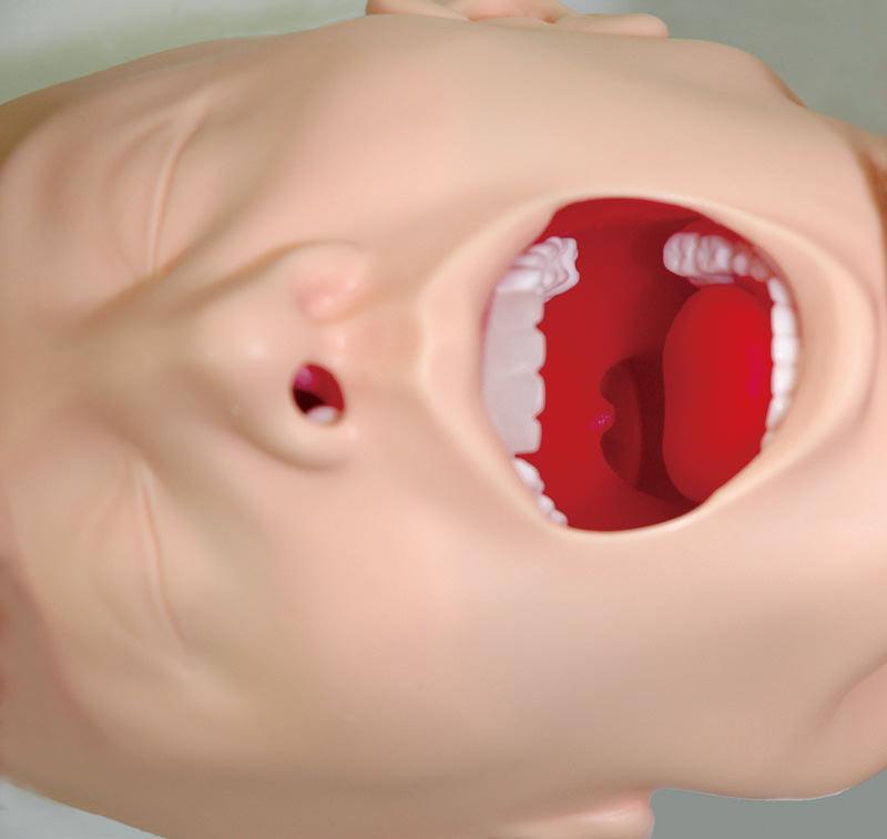 Simulator schwieriges Atemwegsmanagement, R16060 - Notemed Medizintechnik