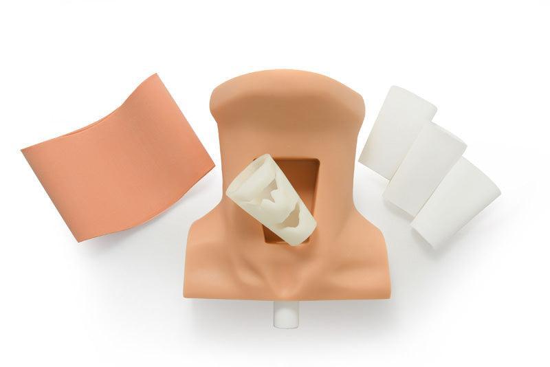 Koniotomie Trainer, SRE0720 - Notemed Medizintechnik