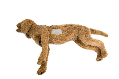 K-9 Thorakozentese, VET4045 - Notemed Medizintechnik