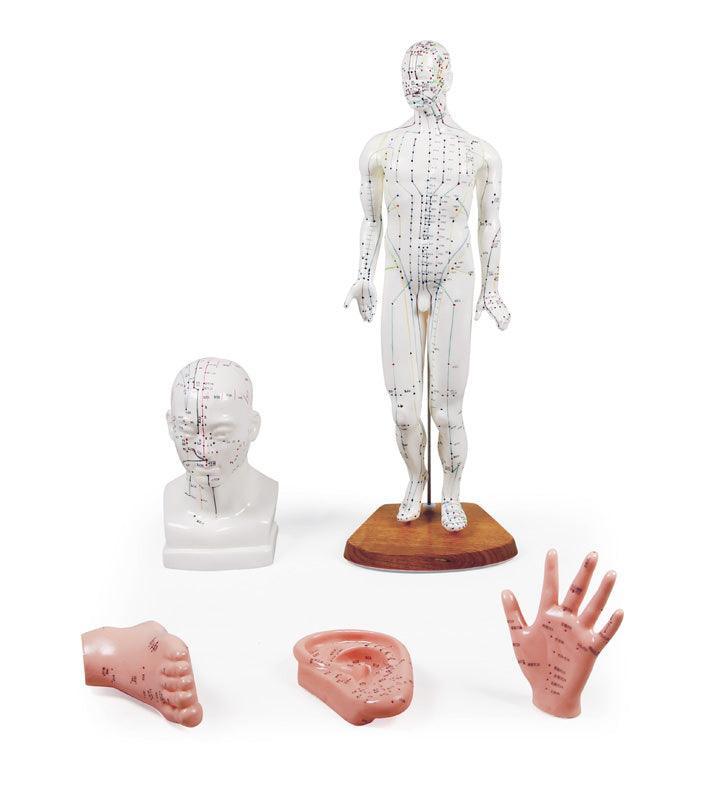 Chinesisches Akupunkturset, 5 Modelle, 2052 - Notemed Medizintechnik 