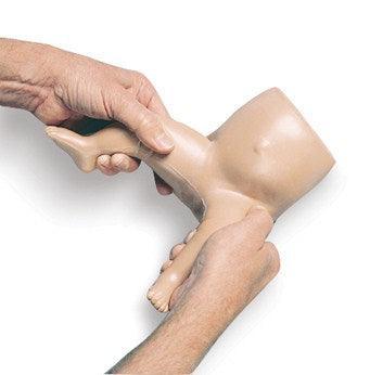 Trainer Katheteresierung & Darmspülung| weibliches Becken| Genitalien| urologische & rektale Zugänge | 375-21001 - Notemed Medizintechnik 