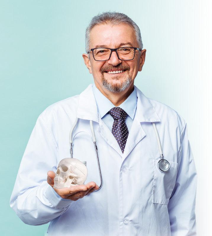Miniatur-Schädel, mit Stativ, 4650 - Notemed Medizintechnik 