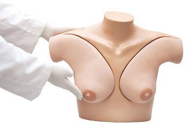 Übungsmodell Brustuntersuchung, L56 - Notemed Medizintechnik 