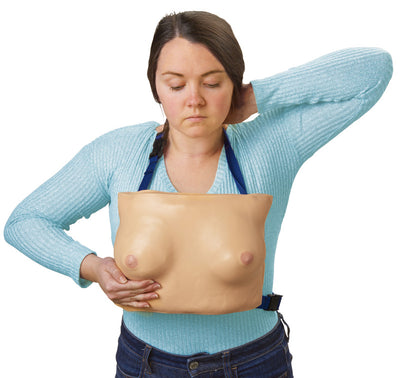 Brustmodell, L62 - Notemed Medizintechnik 