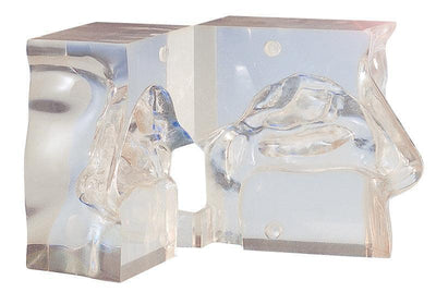 Transparentes Nasenmodell, LM05 - Notemed Medizintechnik 
