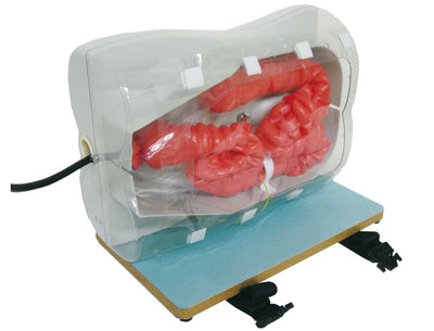 Koloskopie-Simulator, LM107 - Notemed Medizintechnik 