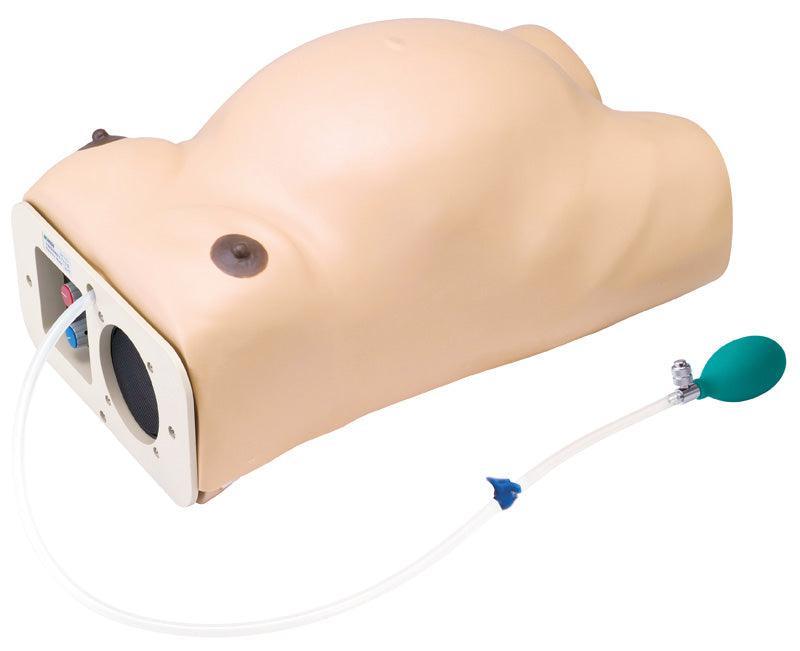 Schwangerschafts-Untersuchungs-Modell mit Herzton-Simulation, LM43N - Notemed Medizintechnik 
