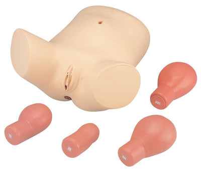 Nachgeburtliches Untersuchungs- und Pflegemodell, LM55 - Notemed Medizintechnik 