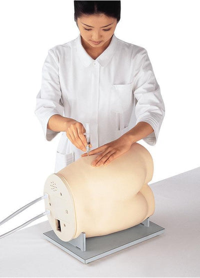 Simulator für gluteale intramuskuläre Injektion, LM57 - Notemed Medizintechnik 