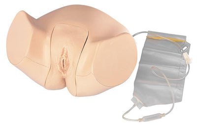 Weibliches Katheterisierungsmodell, LM61 - Notemed Medizintechnik 