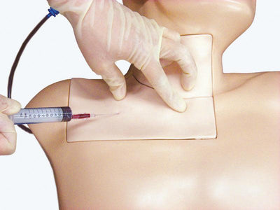 Simulator für die zentrale Venenpunktion, LM90 - Notemed Medizintechnik 