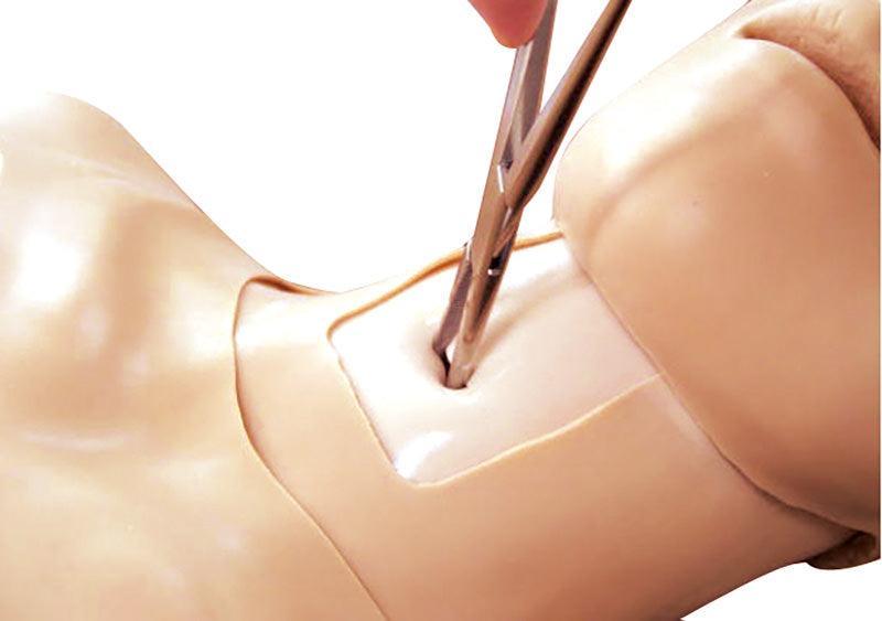 Thorax-Trauma-Trainer, LM93 - Notemed Medizintechnik 