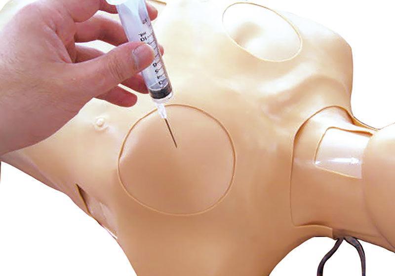 Thorax-Trauma-Trainer, LM93 - Notemed Medizintechnik 