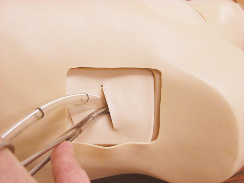 Thorax-Trauma-Trainer, LM93 - Notemed Medizintechnik 