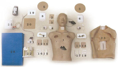 Thorakozentese Einstichstelle, Paar für LM93, LM93D - Notemed Medizintechnik 
