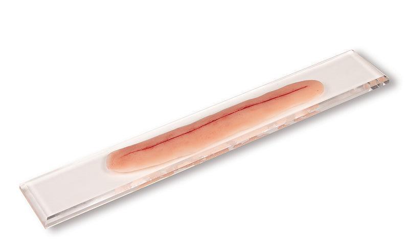 OP Wunde, ohne Naht, 22cm (zum selbst nähen), PW009A - Notemed Medizintechnik 
