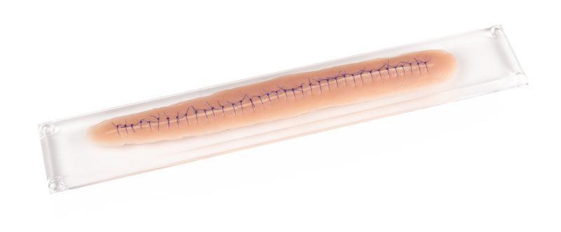 OP Wunde, mit Naht, 22cm, PW009B - Notemed Medizintechnik 