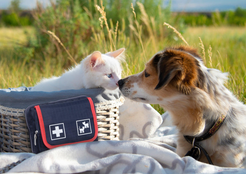Pet Care Verbandtasche mit bedarfsgerechter Füllung, 61160 - Notemed Medizintechnik 