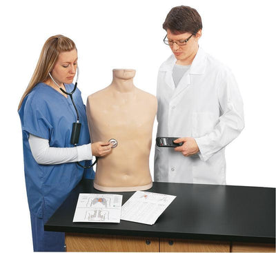 Auskultations-Simulator, R10001 - Notemed Medizintechnik 
