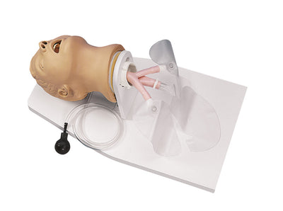 Intubationstrainer Erwachsener, R10014 - Notemed Medizintechnik 