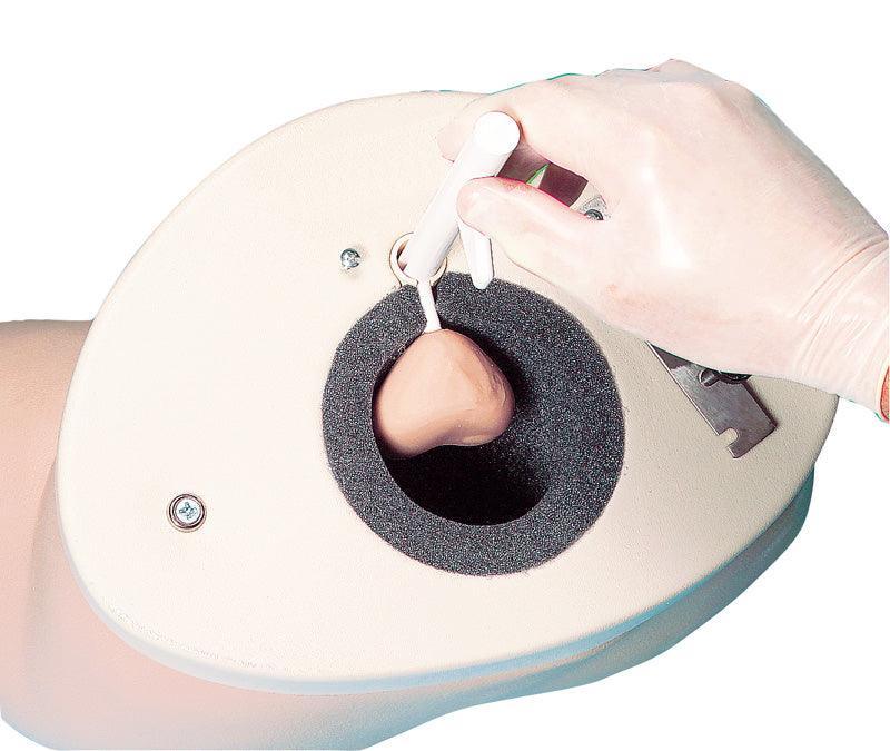Prostatauntersuchungs-Simulator, R10031 - Notemed Medizintechnik 
