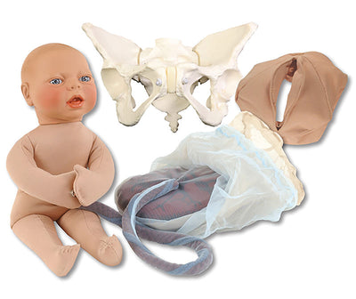 Luxus Geburtsmodell-Set, R10074 - Notemed Medizintechnik 