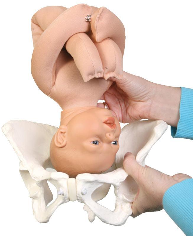 Luxus Geburtsmodell-Set, R10074 - Notemed Medizintechnik 
