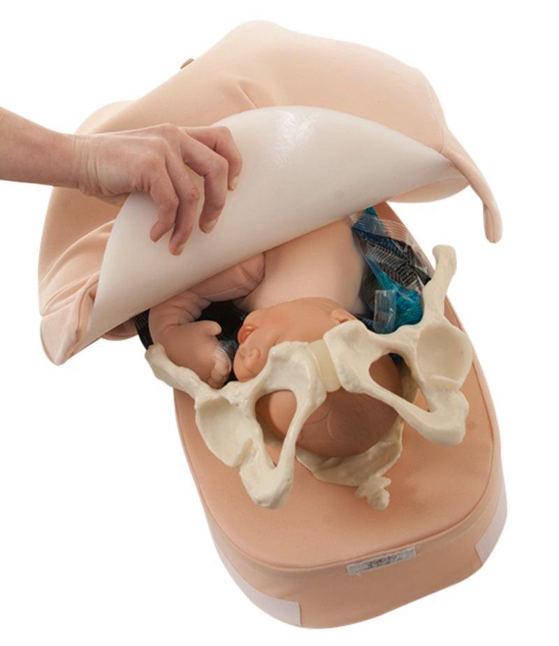 Modellset abdominale Palpation, R10075 - Notemed Medizintechnik 