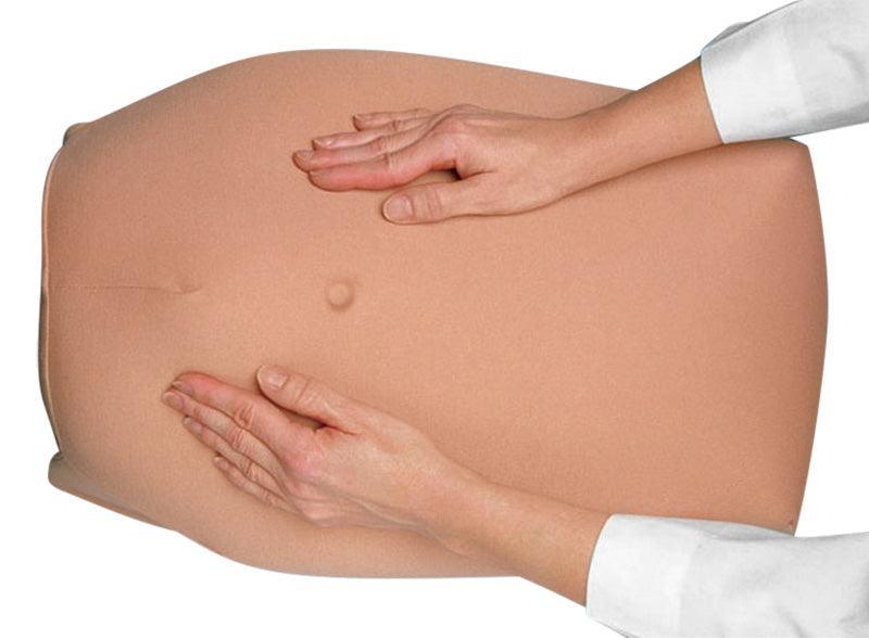 Modellset abdominale Palpation, R10075 - Notemed Medizintechnik 