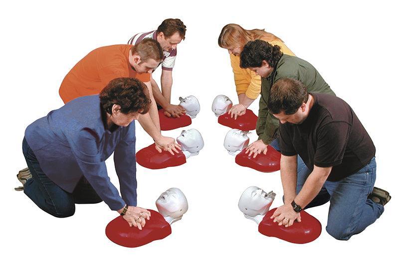 Basic Buddy CPR-Puppe, 5er-Pack, R10090-1 - Notemed Medizintechnik 