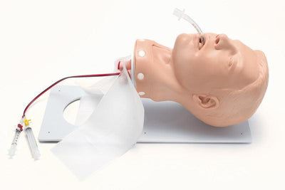 Deluxe Airway Management Trainer mit Gestell Erwachsener, R10118 - Notemed Medizintechnik 