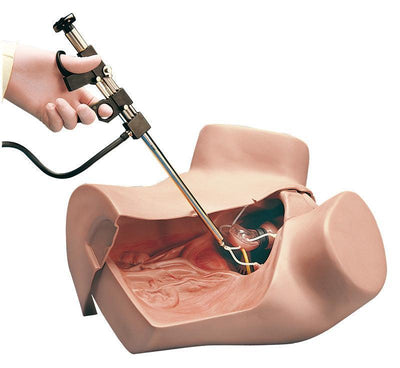 Gynäkologischer Simulator, R10183 - Notemed Medizintechnik 