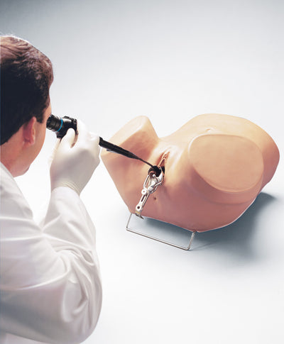 Hysteroskopie-Simulator, R10184 - Notemed Medizintechnik 