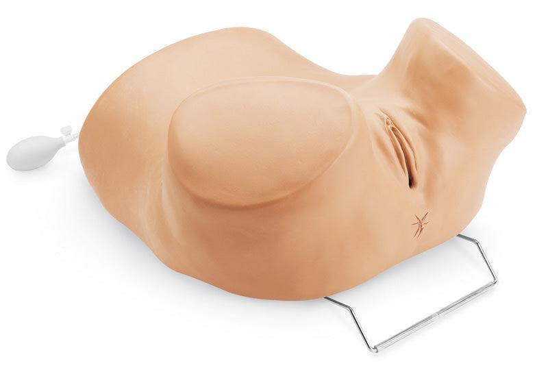 GYN/AID Gynäkologischer Simulator, R10186 - Notemed Medizintechnik 