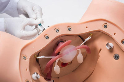 Uteri mit normalen und abnormalen inneren Pathologien für R10188, R10188-2 - Notemed Medizintechnik 