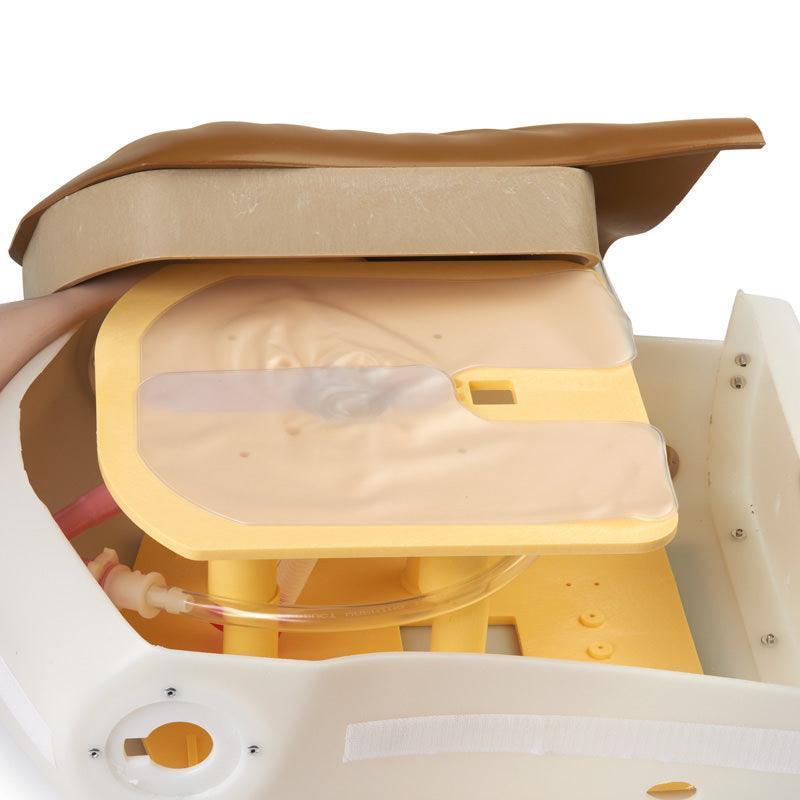 Airway Larry Erwachsenen-Airway Management Trainer Torso, R10190 - Notemed Medizintechnik 