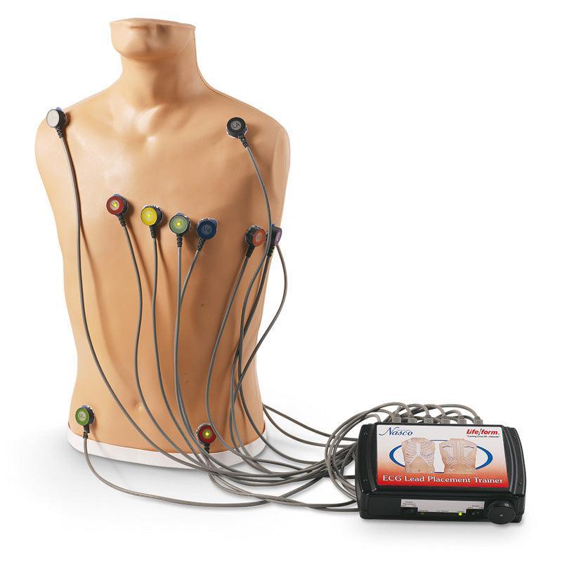15-Kanal-EKG-Platzierungstrainer, R10195 - Notemed Medizintechnik 