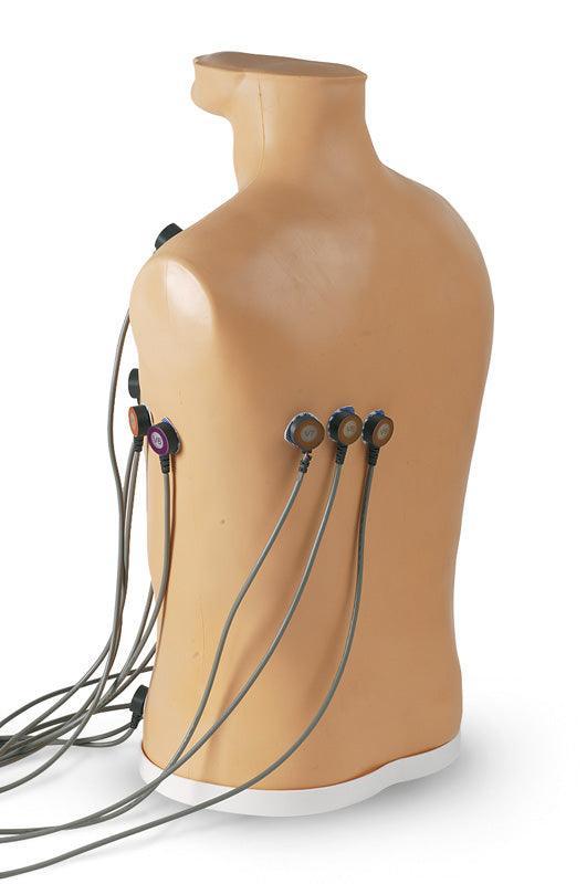 15-Kanal-EKG-Platzierungstrainer, R10195 - Notemed Medizintechnik 