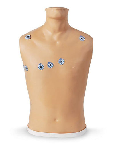 15-Kanal-EKG-Platzierungstrainer, R10195 - Notemed Medizintechnik 