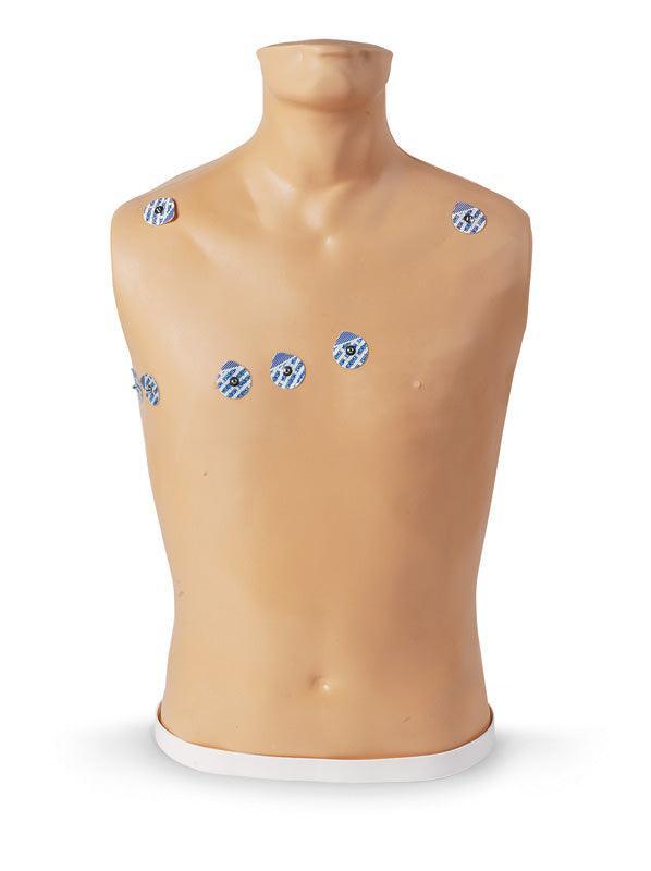 15-Kanal-EKG-Platzierungstrainer, R10195 - Notemed Medizintechnik 