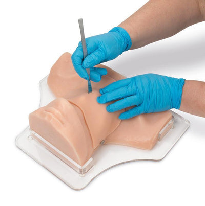 Koniotomie Simulator, R10723 - Notemed Medizintechnik 