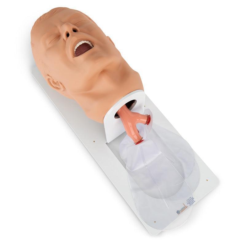 Erwachsenen – Intubationstrainer “Economy” auf Grundplatte, R10752 - Notemed Medizintechnik 