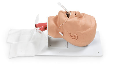 Erwachsenen – Intubationstrainer “Economy” auf Grundplatte, R10752 - Notemed Medizintechnik 