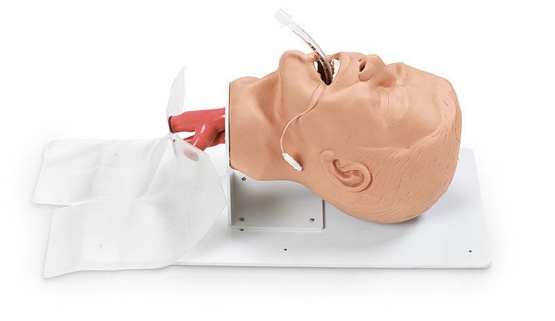 Erwachsenen – Intubationstrainer “Economy” auf Grundplatte, R10752 - Notemed Medizintechnik 