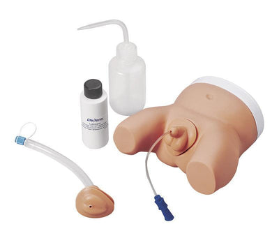 Säugling Simulatorkatheterisierung, männlich und weiblich, R10857 - Notemed Medizintechnik 