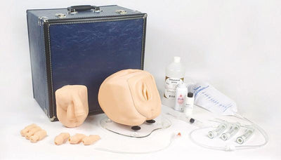 Katheterisierungstrainer mit suprapubischem Zugang, R10858 - Notemed Medizintechnik 