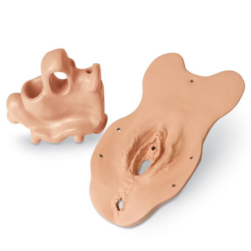 Untersuchungsmodul Menopause, R10941-2 - Notemed Medizintechnik 