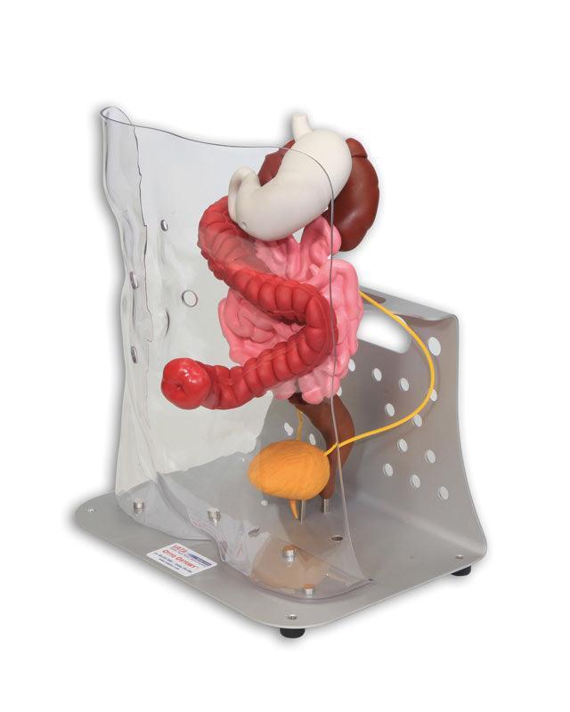 Otto Ostomy, erweitert, R11009 - Notemed Medizintechnik 