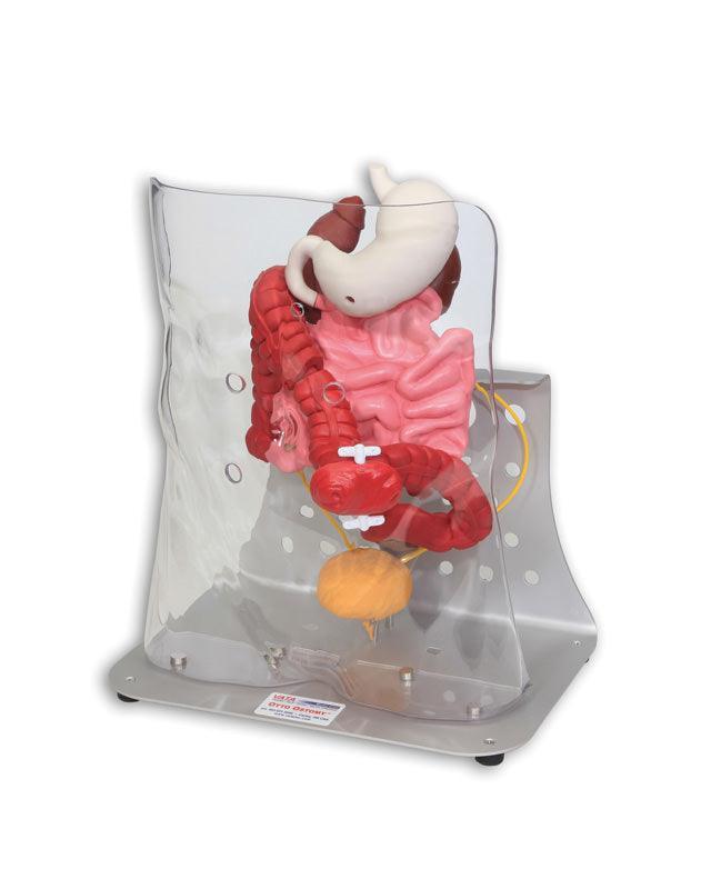 Otto Ostomy, erweitert, R11009 - Notemed Medizintechnik 